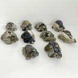 10 Pieces Volcano Agate Turtle Carving(UV - Reactive) - Wholesale Crystals