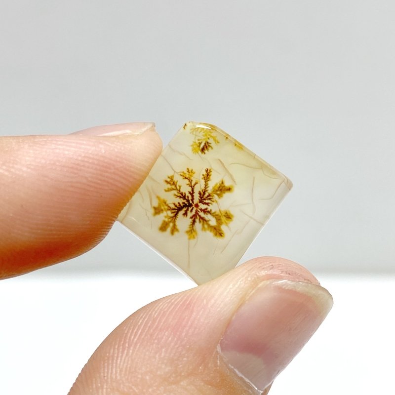 106 Pieces Natural Scenic Dendritic Agate Cabochon - Wholesale Crystals