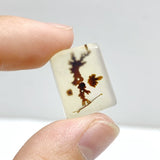 106 Pieces Natural Scenic Dendritic Agate Cabochon - Wholesale Crystals