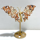 11 Pairs Wings Carving With Stand Closeout (Defect) -Wholesale Crystals