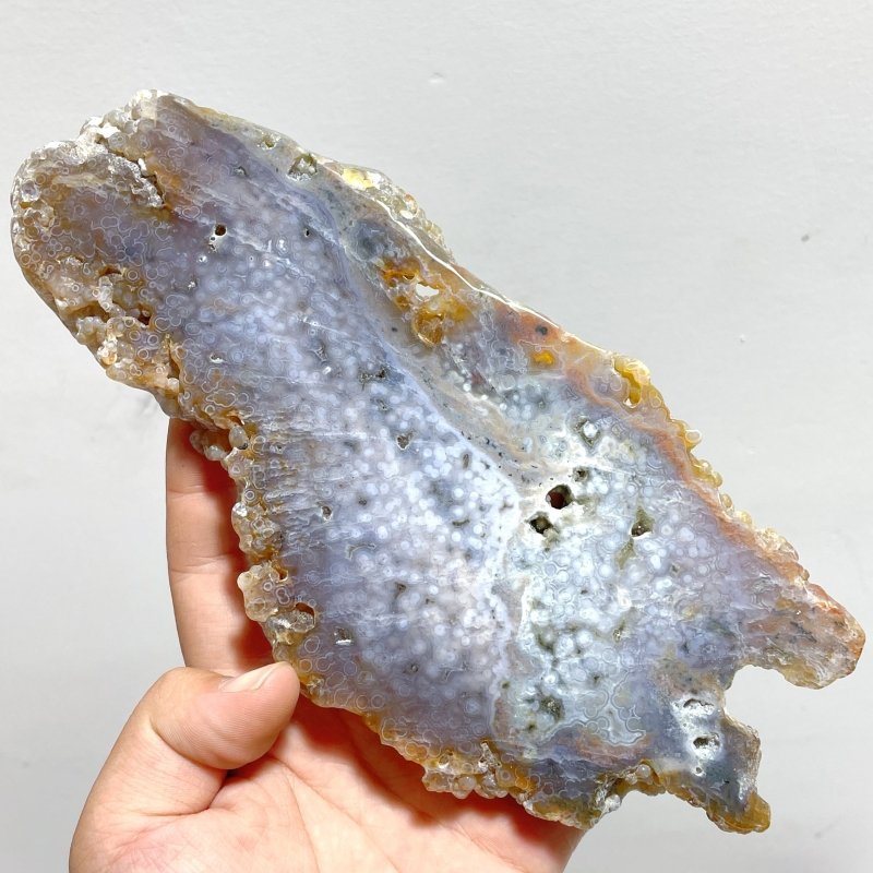 11 Pieces 6th Vein Ocean Jasper Slab - Wholesale Crystals