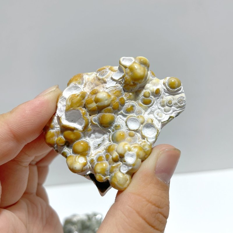 11 Pieces 8th Vein Ocean Jasper Free Form Mixed Size A03 - Wholesale Crystals