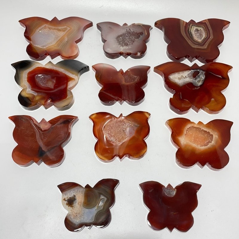 11 Pieces Carnelian Geode Druzy Butterfly Carving -Wholesale Crystals