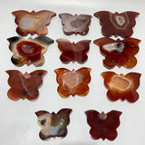11 Pieces Carnelian Geode Druzy Butterfly Carving -Wholesale Crystals