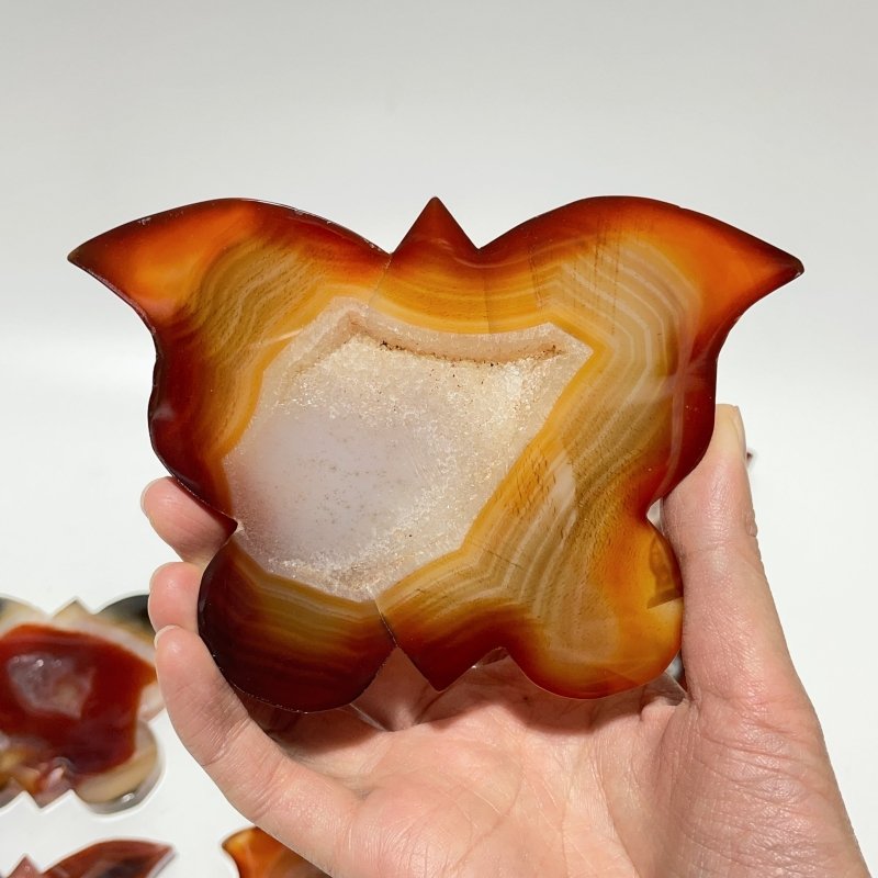 11 Pieces Carnelian Geode Druzy Butterfly Carving -Wholesale Crystals