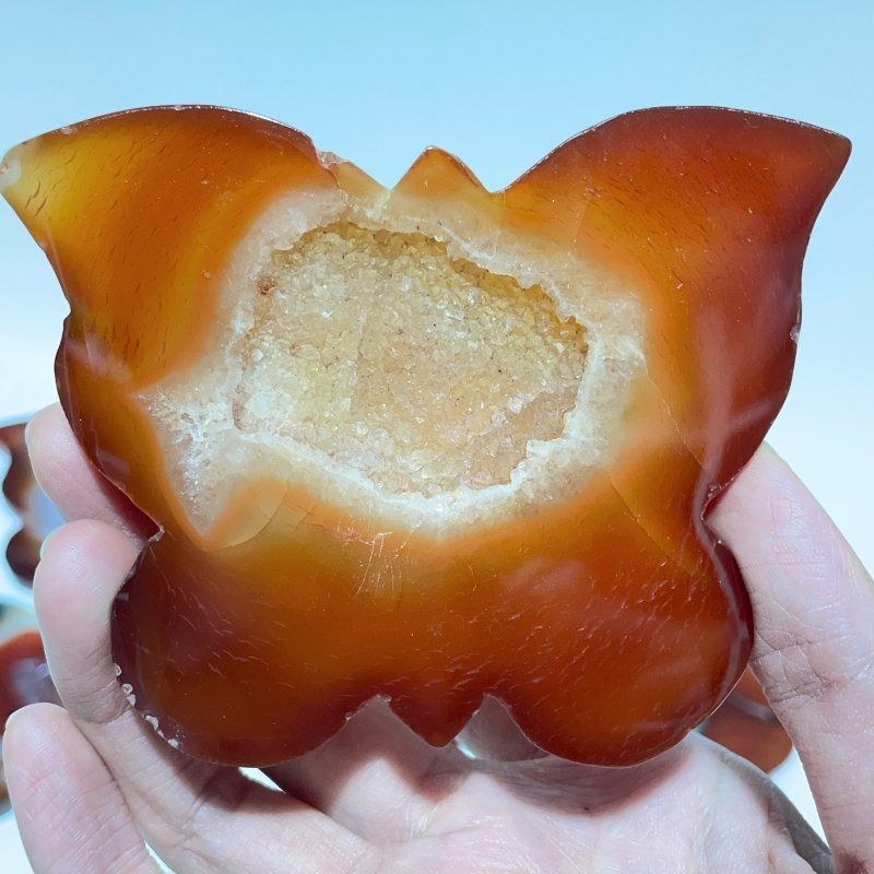 11 Pieces Carnelian Geode Druzy Butterfly Carving -Wholesale Crystals