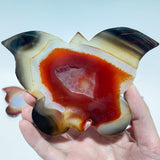 11 Pieces Carnelian Geode Druzy Butterfly Carving -Wholesale Crystals