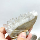11 Pieces Clear Quartz Cluster Butterfly Fairy Carving - Wholesale Crystals