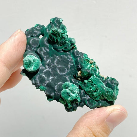 11 Pieces High Quality Raw Malachite Specimen - Wholesale Crystals