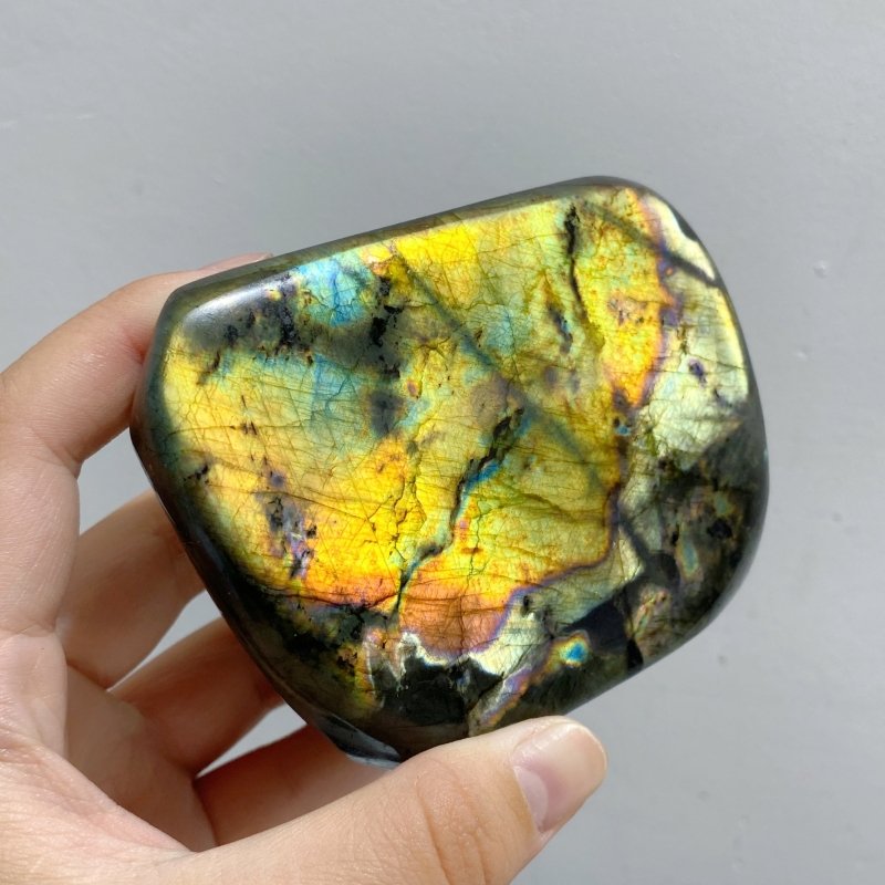 11 Pieces Large Beautiful Polished Labradorite Free Form -Wholesale Crystals