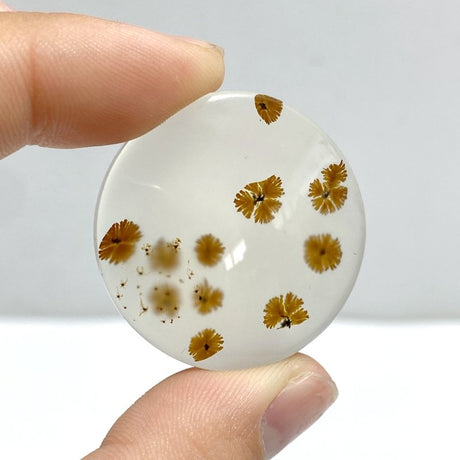 11 Pieces Natural Scenic Dendritic Agate Cabochon - Wholesale Crystals