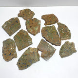 11 Pieces Peacock Eye Rain Forest Jasper Slab - Wholesale Crystals