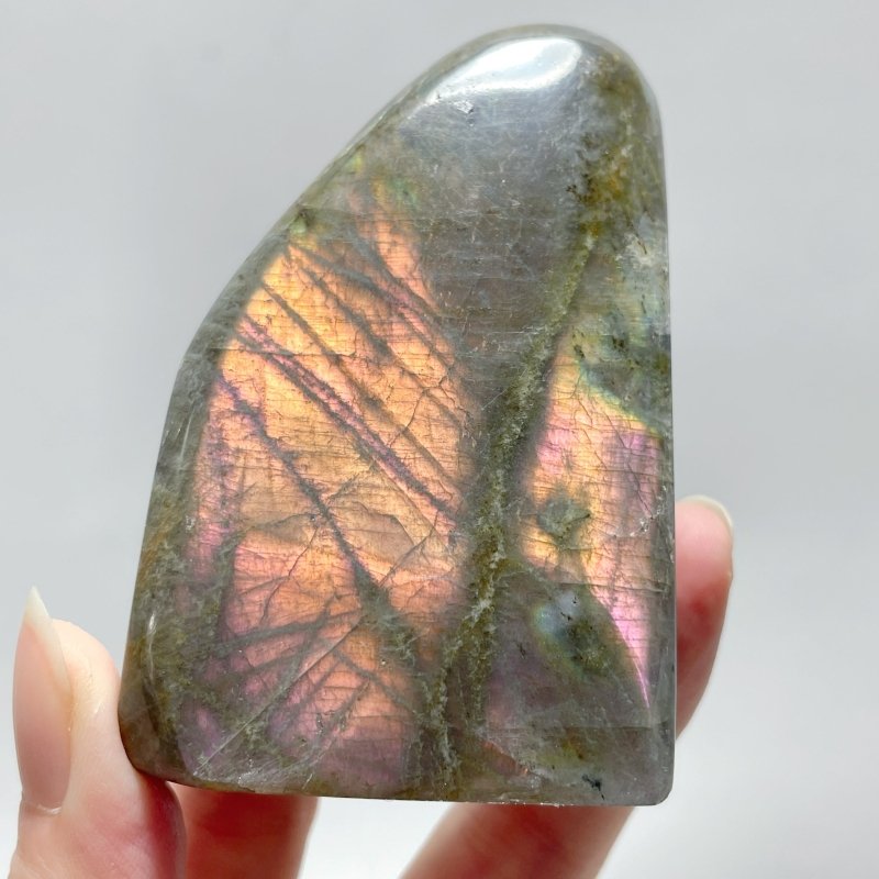 11 Pieces Purple Labradorite High Quality Polished Large Free Form - Wholesale Crystals