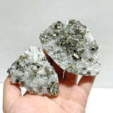 11 Pieces Pyrite Mixed Clear Quartz Cluster Specimen For Collection - Wholesale Crystals