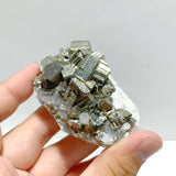 11 Pieces Pyrite Mixed Clear Quartz Cluster Specimen For Collection - Wholesale Crystals