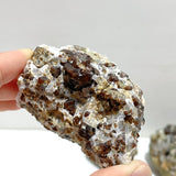 11 Pieces Raw Garnet Specimen For Collection - Wholesale Crystals