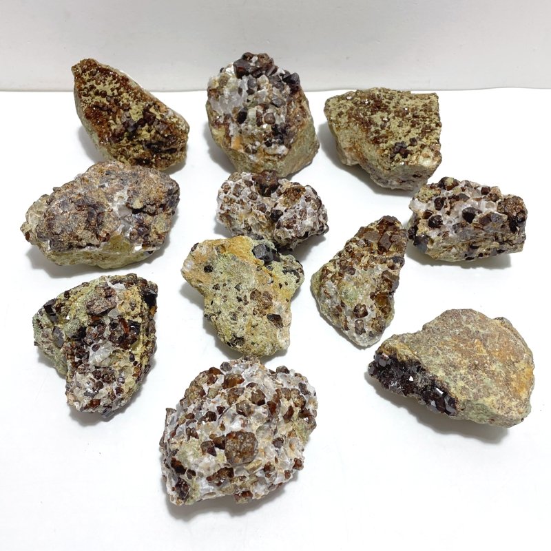 11 Pieces Raw Garnet Specimen For Collection - Wholesale Crystals