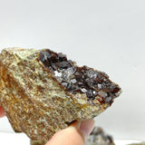 11 Pieces Raw Garnet Specimen For Collection - Wholesale Crystals