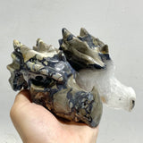 11 Pieces Volcano Agate Dragon Head Carving Closeout (UV-Reactive) -Wholesale Crystals