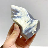 12 Pieces Black Orca Agate Flame Carving 1 - Wholesale Crystals