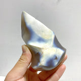 12 Pieces Black Orca Agate Flame Carving 1 - Wholesale Crystals