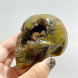 12 Pieces Geode 6th Vein Ocean Jasper Skull Carving -Wholesale Crystals