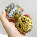 12 Pieces Geode Druzy 8th Vein Ocean Jasper Spheres -Wholesale Crystals