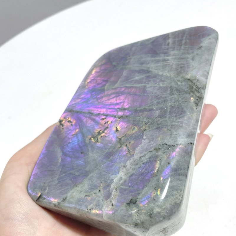 12 Pieces Large Purple Labradorite Free Form - Wholesale Crystals