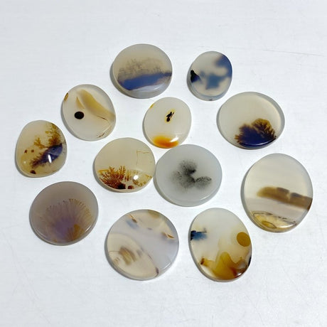 12 Pieces Natural Rare Scenic Dendritic Agate Cabochon - Wholesale Crystals