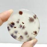 12 Pieces Natural Rare Scenic Dendritic Agate Stone - Wholesale Crystals