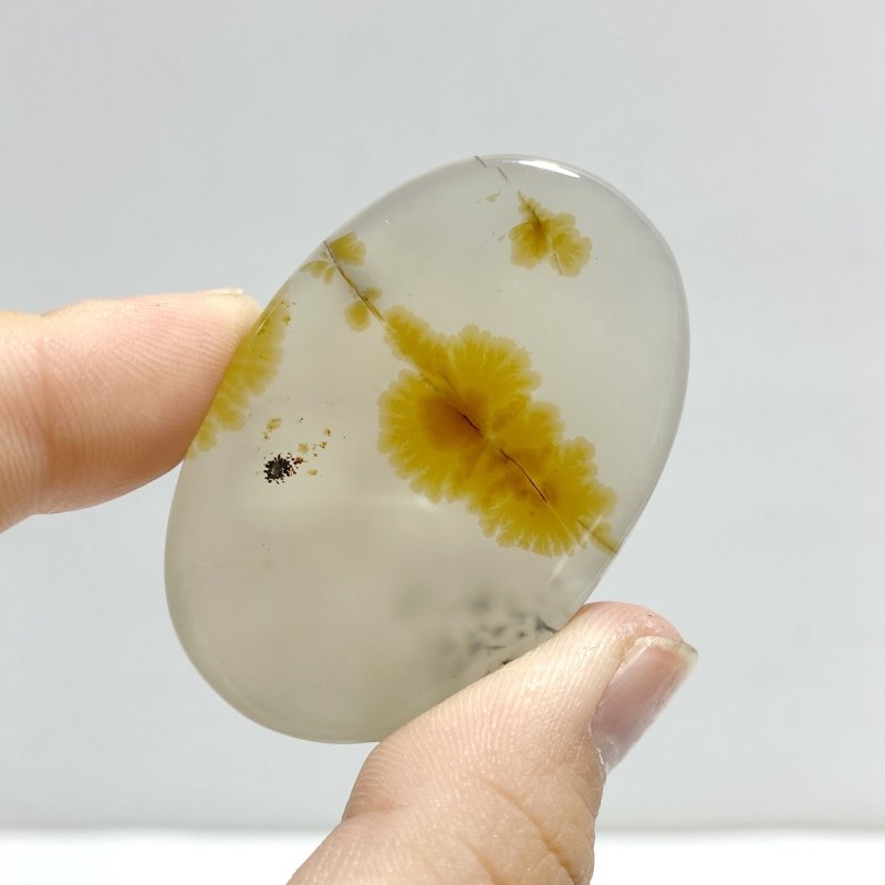 12 Pieces Natural Rare Scenic Dendritic Agate Stone - Wholesale Crystals