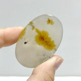 12 Pieces Natural Rare Scenic Dendritic Agate Stone - Wholesale Crystals
