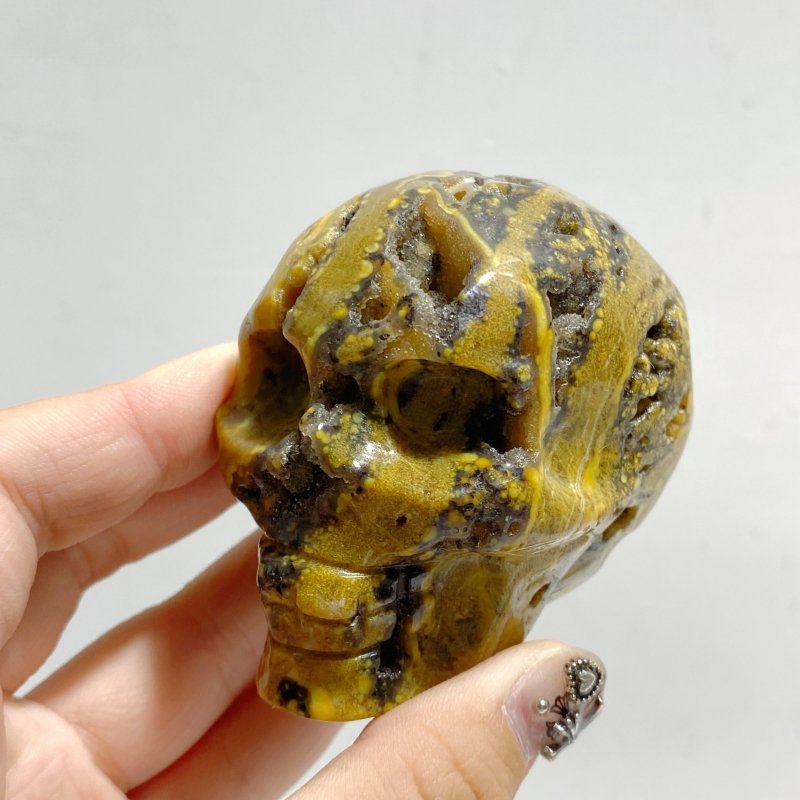 13 Pieces 6th Vein Ocean Jasper Geode Skull Carving -Wholesale Crystals
