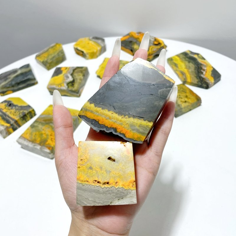 13 Pieces Bumble Bee Jasper Polished Home Decor Stone Australia
