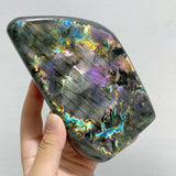 13 Pieces Colorful Labradorite Free Form -Wholesale Crystals