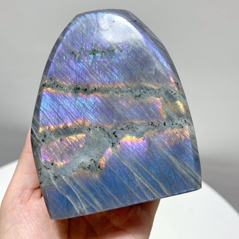 13 Pieces Labradorite High Quality Polished Large Free Form - Wholesale Crystals