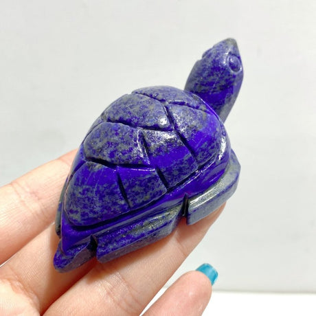 13 Pieces Lapis Lazuli Sea Turtles Carving - Wholesale Crystals
