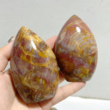 13 Pieces Petrified Wood Stone Arrow Head Shape -Wholesale Crystals