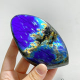 14 Pieces Beautiful Yellow Blue Labradorite Free Form -Wholesale Crystals