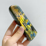 14 Pieces Beautiful Yellow Blue Labradorite Free Form -Wholesale Crystals