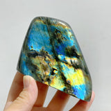 14 Pieces Beautiful Yellow Blue Labradorite Free Form -Wholesale Crystals
