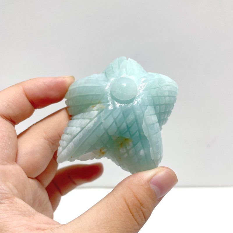 15 Pieces Caribbean Calcite Sea Animals Carving - Wholesale Crystals