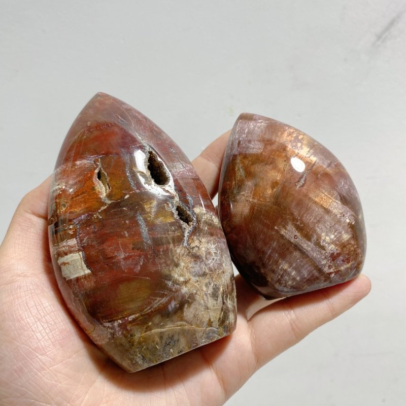 15 Pieces Petrified Wood Stone Arrow Head Shape -Wholesale Crystals