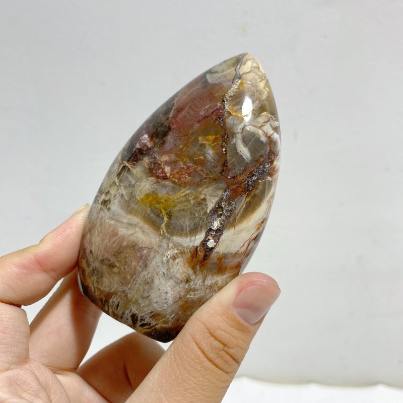 15 Pieces Petrified Wood Stone Arrow Head Shape -Wholesale Crystals