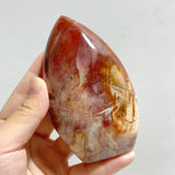 15 Pieces Petrified Wood Stone Arrow Head Shape -Wholesale Crystals