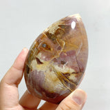 15 Pieces Petrified Wood Stone Arrow Head Shape -Wholesale Crystals