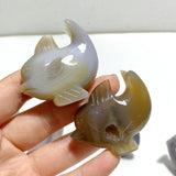 15 pieces Small Geode Agate Druzy Dolphin Carving - Wholesale Crystals