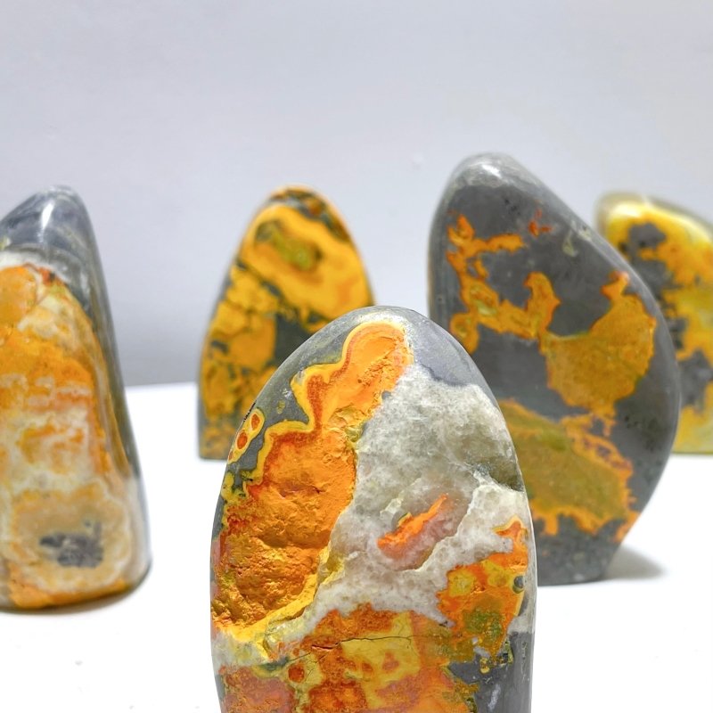 16 Pieces Bumble Bee Jasper Free Form Home Decor - Wholesale Crystals