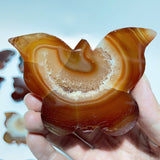 16 Pieces Carnelian Geode Druzy Butterfly Carving -Wholesale Crystals