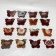 16 Pieces Carnelian Geode Druzy Butterfly Carving -Wholesale Crystals